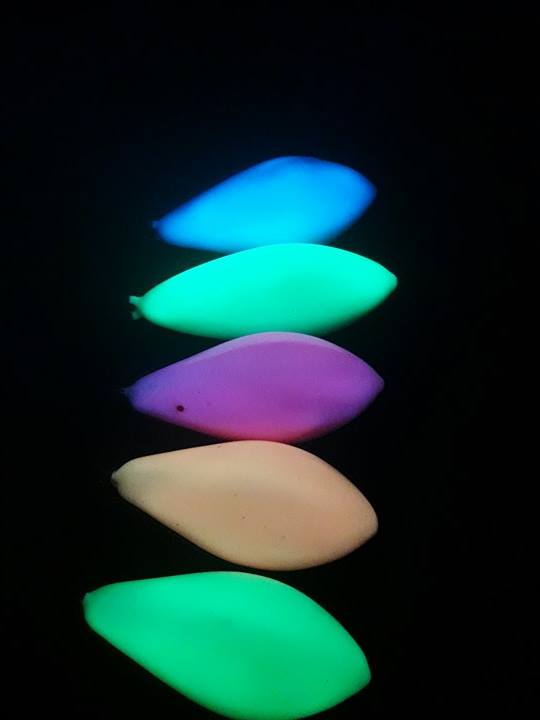 18280695_10213769136329559_1120738288_n