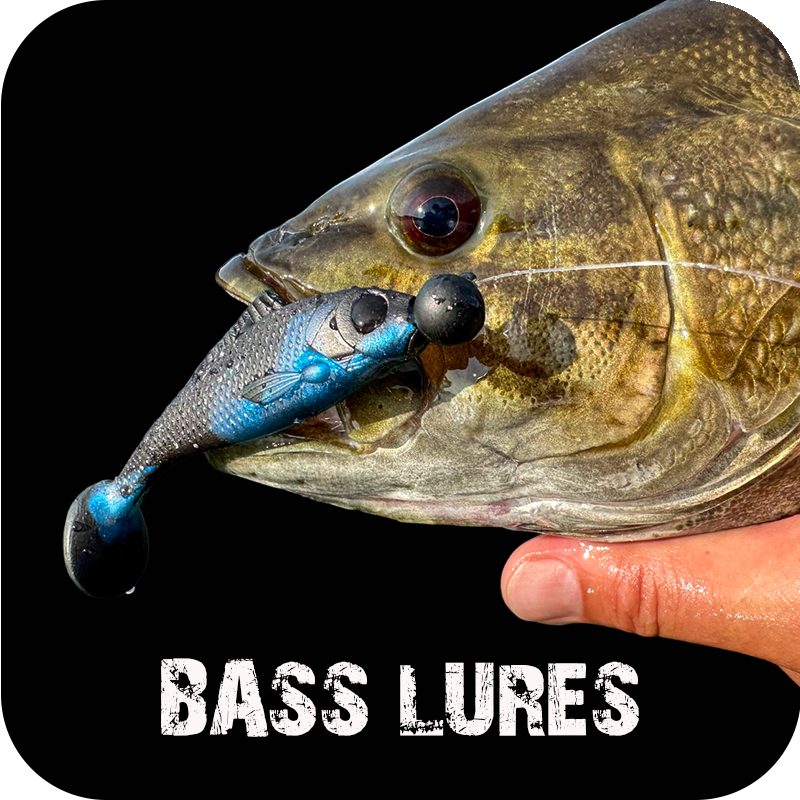 BASS LURES
